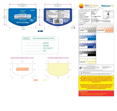 Principal Display Panel (Principal Display Panel)